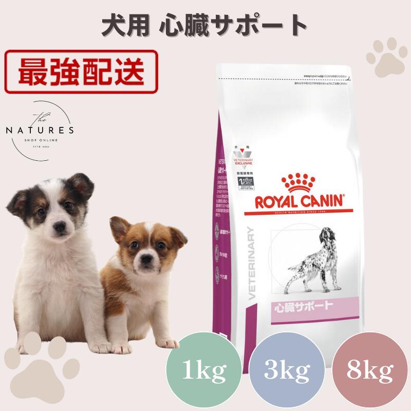 【ホスピタル公証不必要 店卸し資産区分け】 ロイヤル聖地 犬 心の臓受け支える 1kg 3kg 8kg
