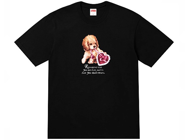 楽天市場】SUPREME シュプリーム Tシャツ トップス 25AW 新品