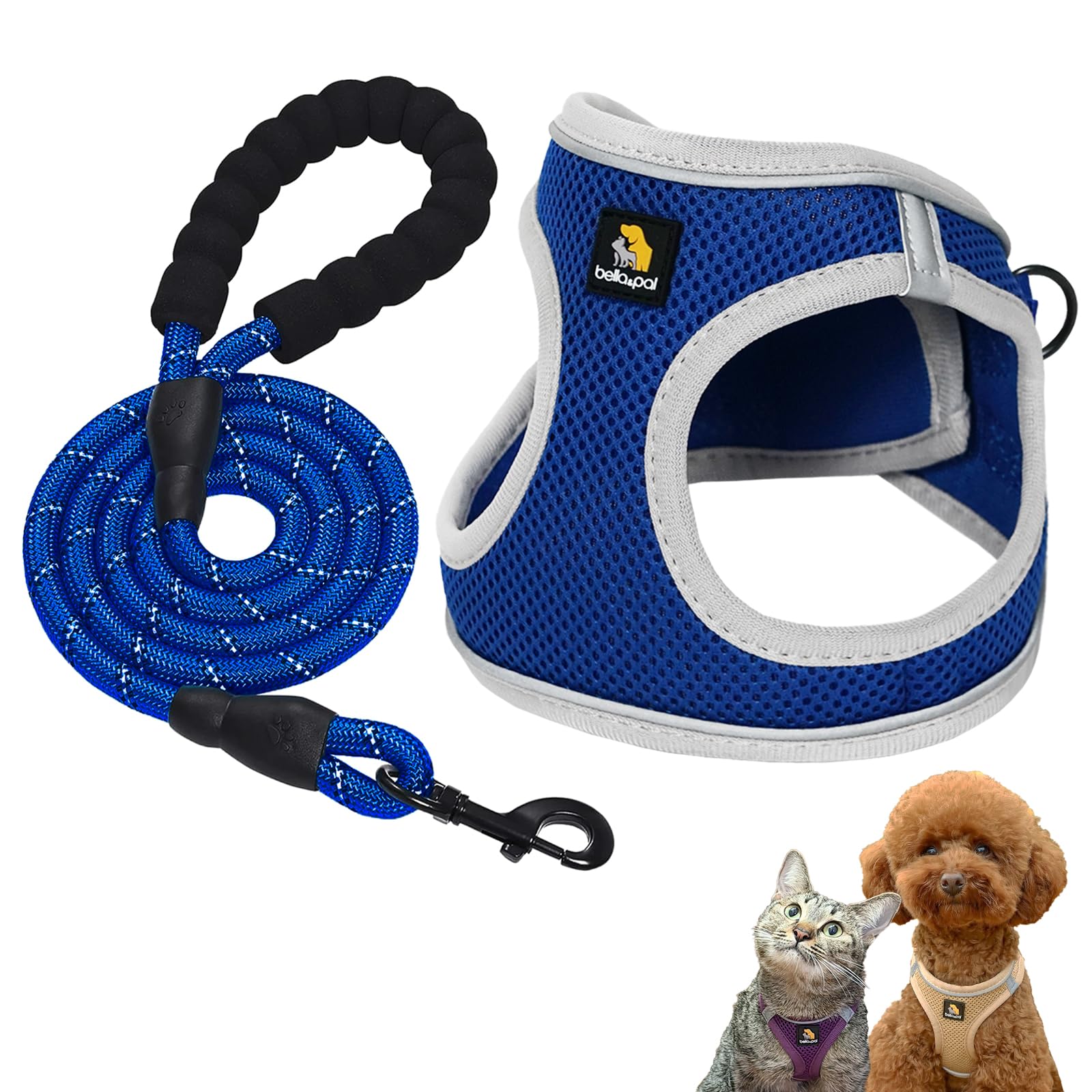 犬用馬具 リーシュセット M大いさ 小中型犬向け 大気圏メッシュ より良い馬具 引っ張り押しとどめる 照りかえす材付き添い人 胴輪 先んじる付き添い人