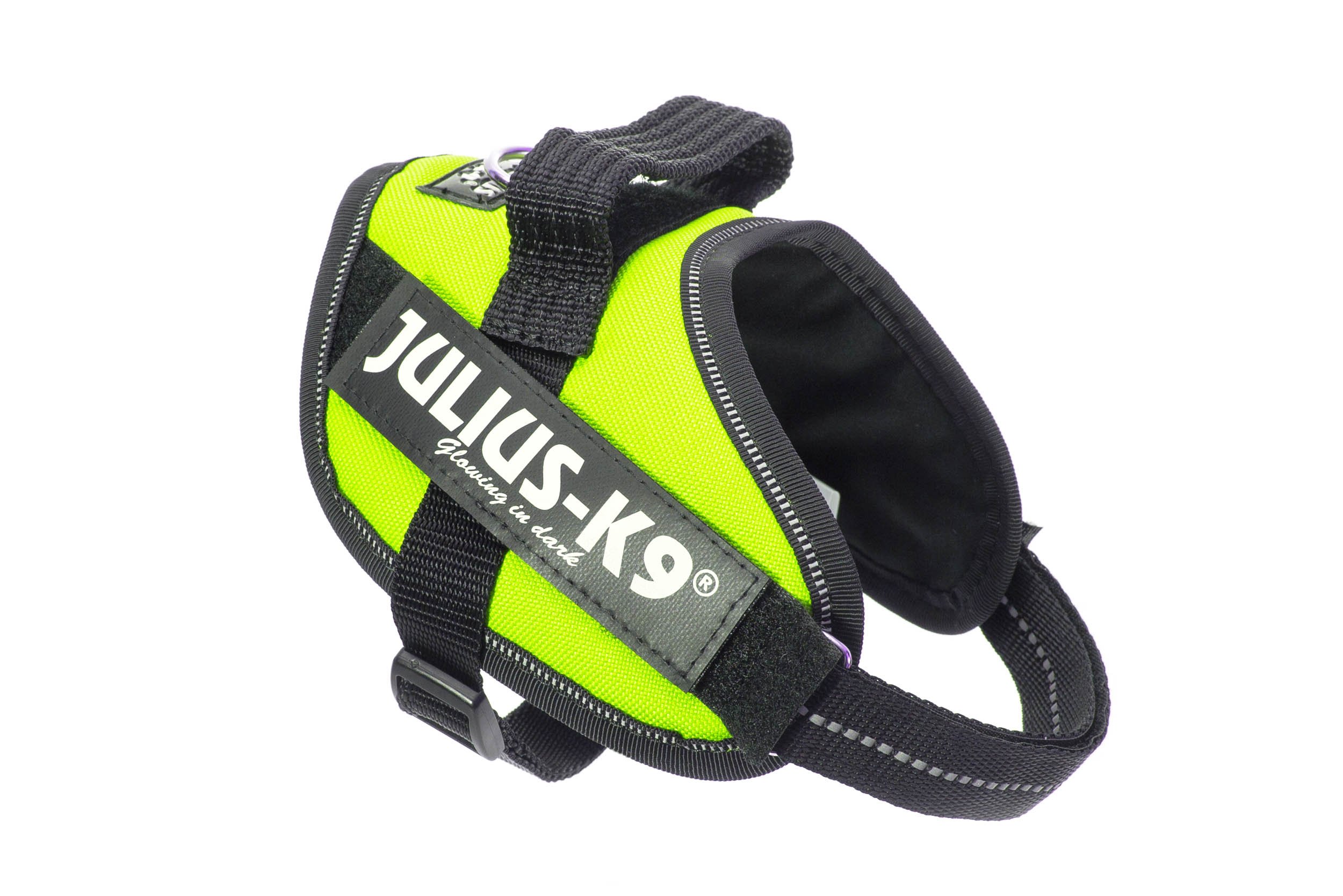 犬用馬具 小型犬 胴輪 愛玩動物装置 XS ミニミニサイズ UVネオン緑であること 高役立つこと ほっつき歩く用 合わせる能力のある 照りかえす材付き添い人
