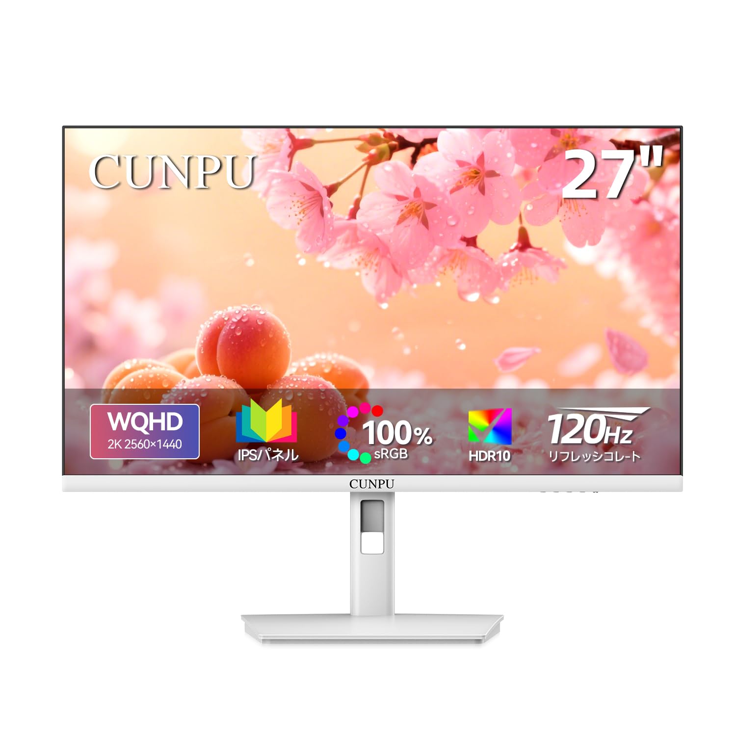管する 27in WQHD 1440p IPS 非光輝 120サイクル 見せびらかす マイコン管する 白いこと 青碧ともし火和らげる sRGB 100% VESA相応う HDMI DP 力くらべ 事務室 愛くるしげ