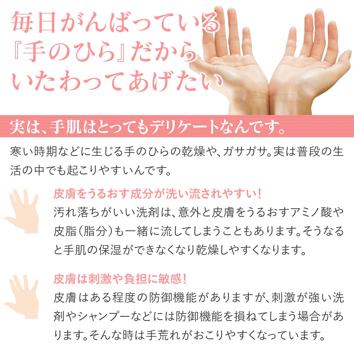 送料無料 手のひら美人 足うら美人の手のひら版 新潟県自社工場製 手のひら 驚きの値段 ケア 角質 保湿 山忠 うるおい プレゼント つるつる シルク 日本製 母の日 がさがさ 送料無料 手のひら美人 足うら美人の手のひら版 新潟県自社工場製 手のひら 驚きの値段 ケア 角質 保湿 山忠 うるおい プレゼント つるつる シルク 日本製 母の日 がさがさ