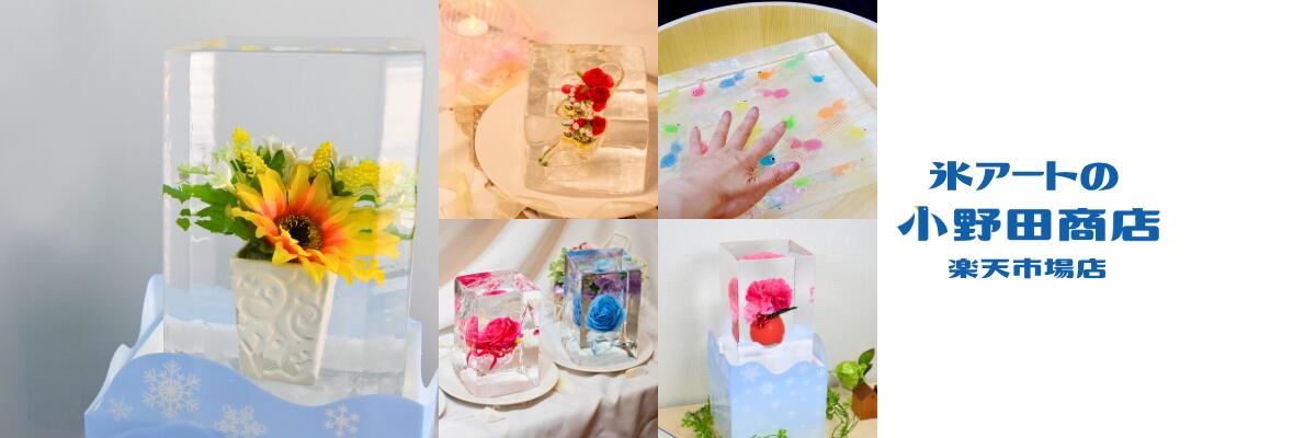 ɹȤξľŹ ŷԾŹ13ǯ϶Ȥɹ ľŹɹΥե ɹ 䡣