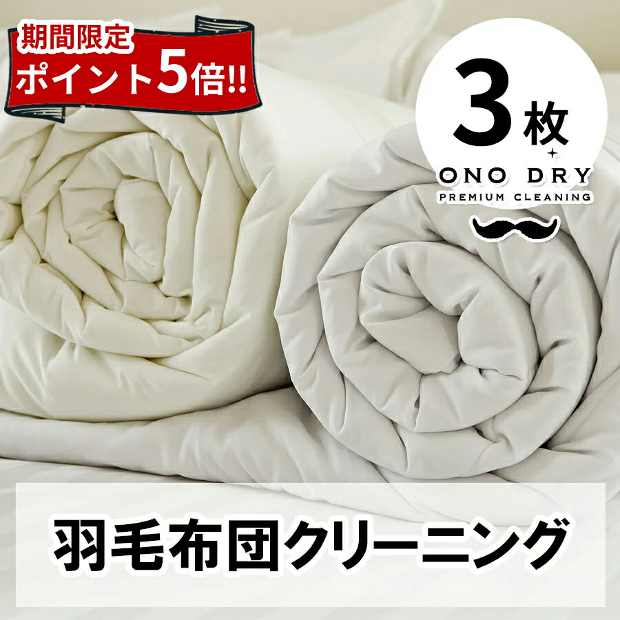 全品ポイント5倍 ふとん クリーニング 宅配 スマクリふとん専科3点 布団 クリーニング