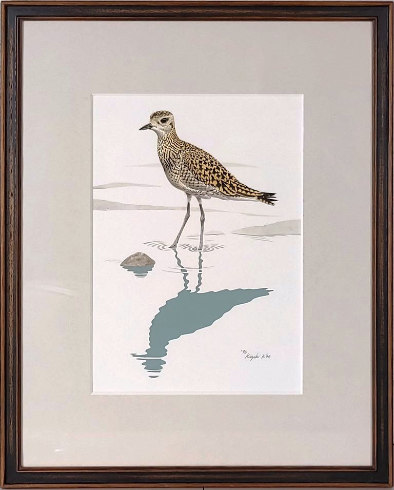 楽天市場】木部一樹 「キョウジョシギ」 細密画 : 小野画廊