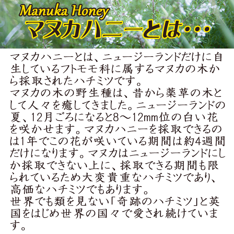 マヌカハニー蜂蜜【2021年1月15日以降の発送予定】 250g×4 はちみつ 