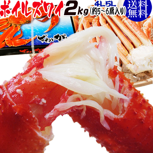 送料無料 ギフト プレゼント ズワイ ずわい 蟹 かに カニ  ズワイガニ 4L5L 約2kg(正味1.6kg、5肩～6肩入)ロシア産・ノルウェー産