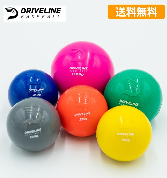 楽天市場】＼大感謝セール中は特別価格／【最新版2023年版】Driveline