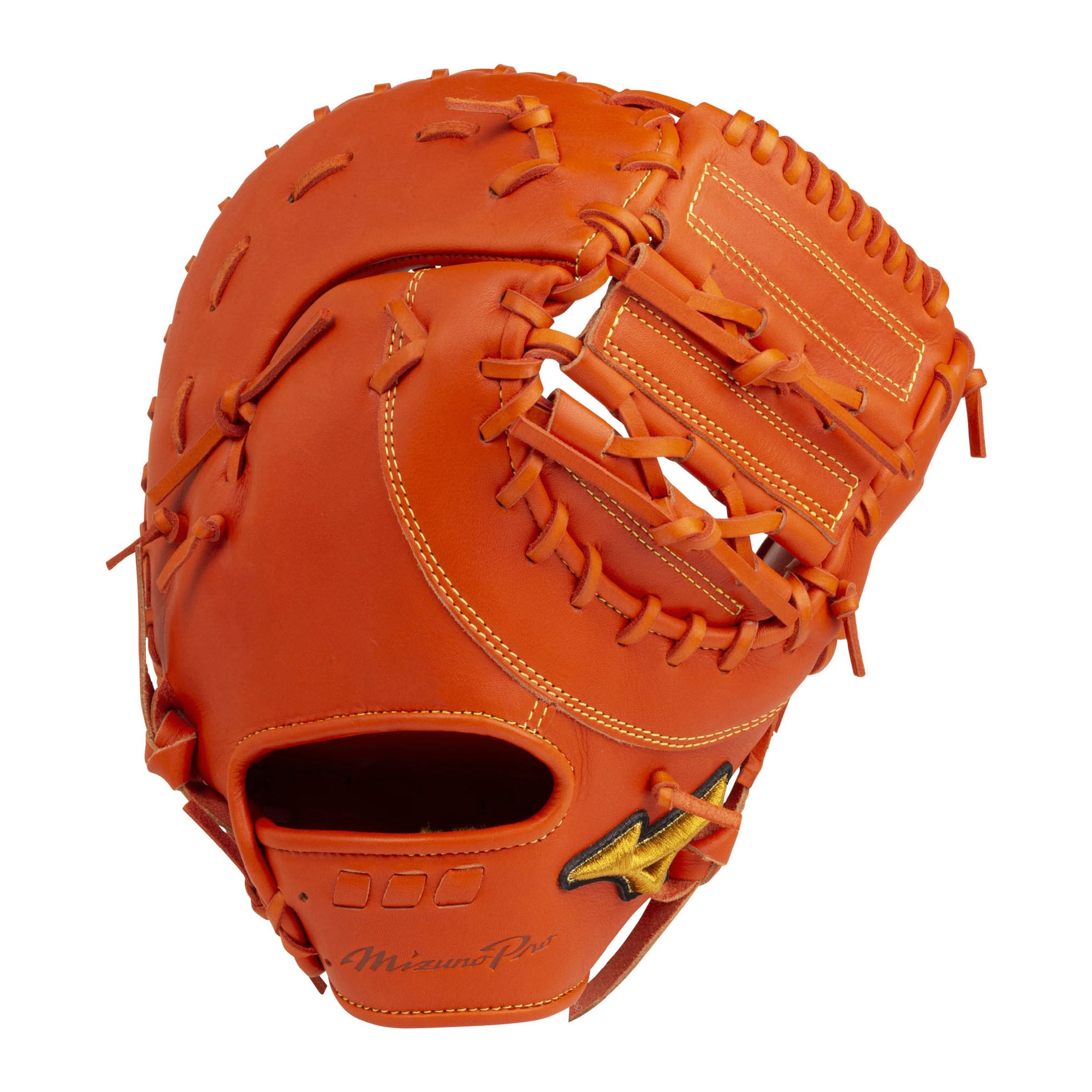 【送料無料】ミズノ　MIZUNO　 硬式用 ミズノプロ 5DNAテクノロジー 一塁手用ST型　グラブ袋付き 限定商品【MIZUNO】ミズノ　野球 硬式用グラブ　グローブ （1AJFH22000） 44,044円