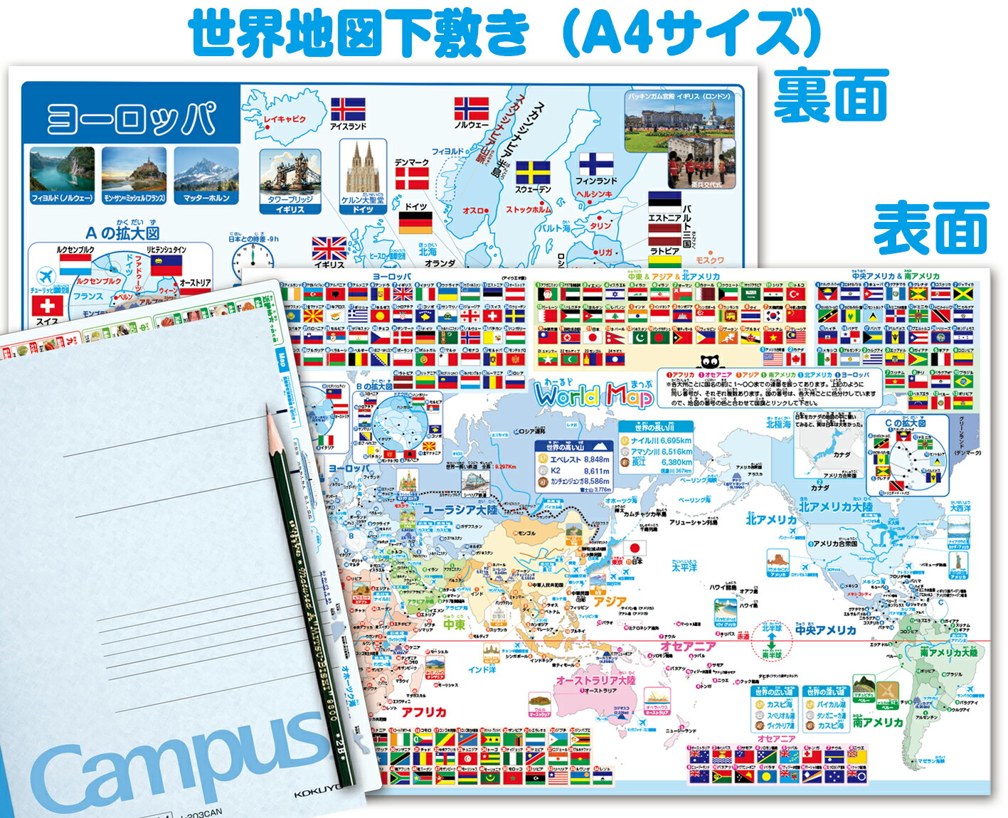 楽天市場】世界地図下敷き A4サイズ 世界地図 下敷き 世界地図