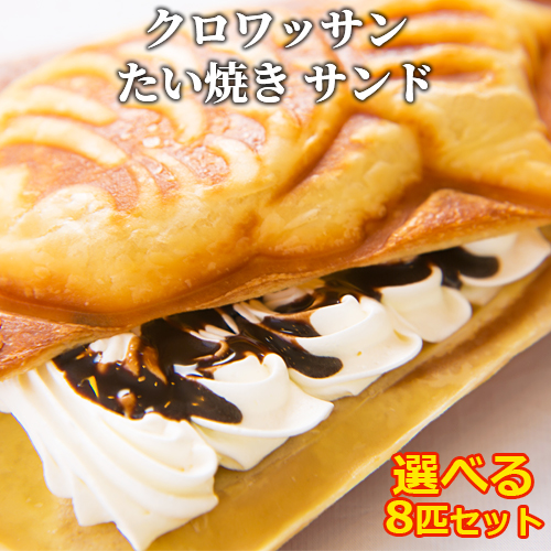 たい焼き　黒XL Amazon.com: Ninja XSKGRIDLXL Woodfire Premium Griddle Plate