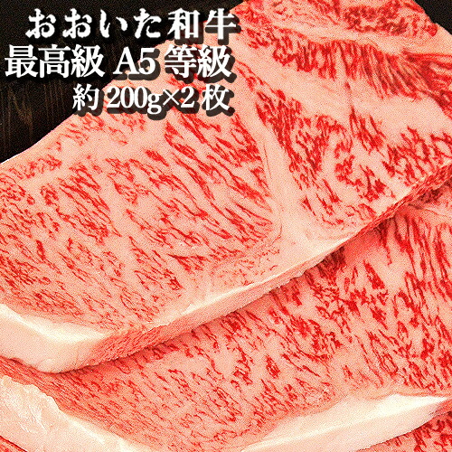 特上A5ランク おおいた和牛 サーロインステーキ 約200g×2枚  和牛日本一の大分県 豊後牛 牛肉 国産 お取り寄せ トキハインダストリーから直送【送料込】