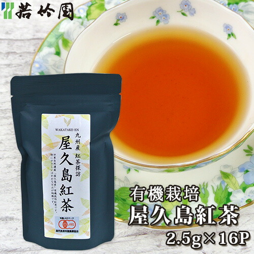楽天市場】若竹園 九州産紅茶探訪 嬉野紅茶 40g(2.5g×16袋入り) 和紅茶