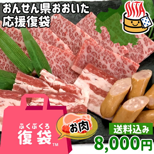 【応援企画】おんせん県おおいた ふっこう復袋(福袋) 豊後牛焼肉セット 2～3人前 8,000円 送料込み 和牛バラ肉 豚バラ肉 ウインナー 大分県支援 復興 ミカド肉店