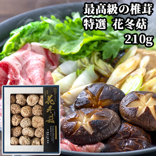 竹田市産 特選 花冬こ 箱入 210g はなどんこ 最高級の椎茸 しいたけ シイタケ 姫野一郎商店【送料込】
