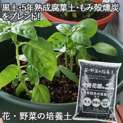 楽天市場 穴なし容器でもよく育つ 培養土 十時花園の土 4l 1 8kg 十時花園 黒土 腐葉土 もみ殻燻炭 送料無料 Bfクーポン おんせん県おおいた Online Shop