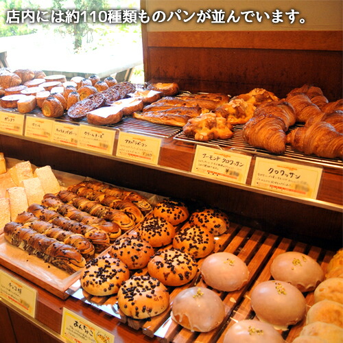 楽天市場 こだわりのスペイン石窯で焼き上げた ハード系パン詰め合わせセット おまかせ8種入り 天然酵母配合 冷凍 カンパーニュ エピ フランスパン 朝ごはん 食事パン 石窯パン工房moco Moco 送料無料 おんせん県おおいた Online Shop