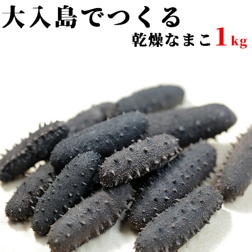 全品送料無料 楽天市場 九州産 乾燥なまこ 1kg 新栄丸 大入島近海 送料無料 ナマコ おんせん県おおいた Online Shop 代引き手数料無料 Www Lexusoman Com