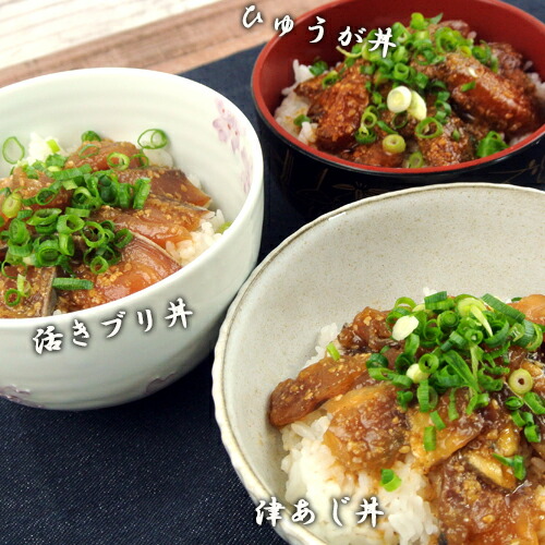 楽天市場 鮮度抜群 海鮮丼3種食べ比べセット キハダまぐろのひゅうが丼 活きぶり丼 津あじ丼 各2食ずつ計6食 りゅうきゅう丼 あつめし 海鮮漬け丼 海鮮丼 海鮮茶漬け タレ漬け 生食用 冷凍 永徳鮮魚店 送料無料 おんせん県おおいた Online Shop