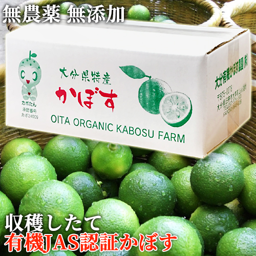 楽天市場 国内唯一の有機jas認証栽培かぼす 大分県産無農薬カボス青果4kg およそ40個前後 完熟かぼす 季節限定 大分有機かぼす農園 送料無料 北海道 沖縄除く おんせん県おおいた Online Shop