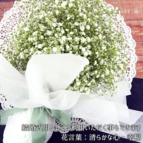 楽天市場 大分県玖珠産 かすみ草ラウンドブーケ 花束 生花 カスミソウ品種ベールスター ウェディング 結婚式用 御祝い用 フラワーギフト 冷蔵発送 Pomponchouchou 花と菓子と 送料無料 おんせん県おおいた Online Shop