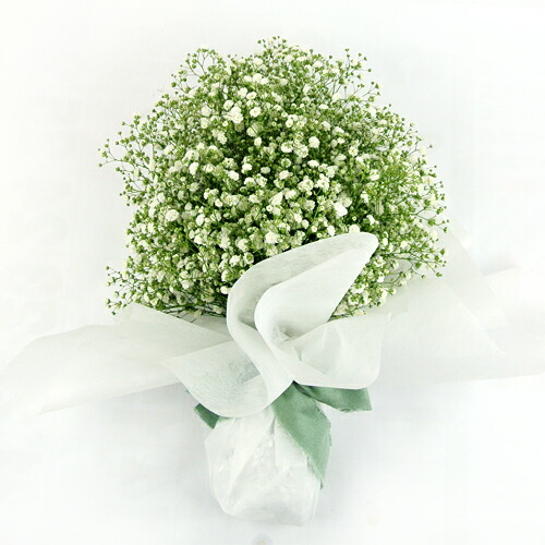 楽天市場 大分県玖珠産 かすみ草ラウンドブーケ 花束 生花 カスミソウ品種ベールスター ウェディング 結婚式用 御祝い用 フラワーギフト 冷蔵発送 Pomponchouchou 花と菓子と 送料無料 おんせん県おおいた Online Shop