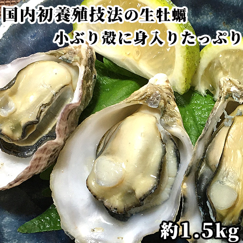 楽天市場 限定 Offクーポン 日本初採用の養殖方法で身入り抜群 生牡蠣 約1 5kg 30個 指定日必須 最適漁場の大分県大入島産 新栄丸 大入島オイスター Oonyujima Oyster 送料無料 生食用 おんせん県おおいた Online Shop