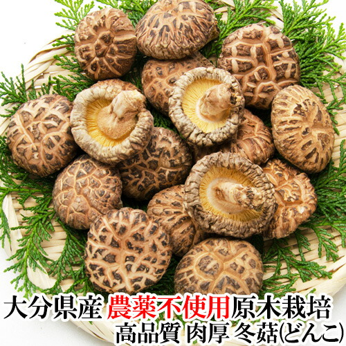 ようこりんさまご予約専用 大分県特産 原木生どんこ椎茸「寒子