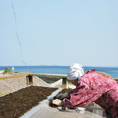 楽天市場 大分県佐賀関名産 速吸の瀬戸と呼ばれるきれいな海で育った天然ひじき 潮の香りもそのままに 天日干しひじき 30g 乾燥ひじき 佐賀関加工グループ おんせん県おおいた Online Shop