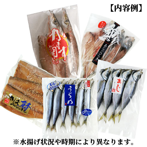 楽天市場 クーポン利用で Off 豊後水道 九州産 干物詰め合わせ 5種セット 例アジ開き カマス開き サバみりん干しソフト アジ丸干し ウルメ丸干し 天然もの ヤマク海産 送料無料 Sクーポン おんせん県おおいた Online Shop