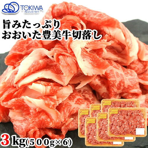 大分県産 おおいた豊美牛切落し 3kg(500g×6) すき焼 炒め物 霜降り とよみぎゅう 牛肉 国産 九州産 お肉 冷凍 お取り寄せ トキハインダストリー【送料込】