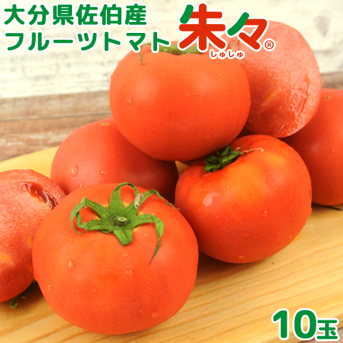 大分県佐伯産 高糖度 塩熟 フルーツトマト朱々 10玉(約1kg) Lサイズ 糖度8度以上 JGAP認証農場 ハウス 低段密植栽培 サニープレイスファーム【送料込】