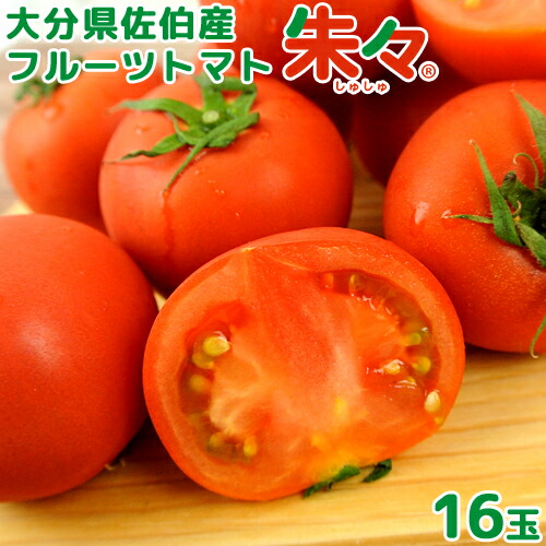 大分県佐伯産 高糖度 塩熟 フルーツトマト朱々 16玉(約1kg) 糖度8度以上 JGAP認証農場 ハウス 低段密植栽培 サニープレイスファーム【送料込】