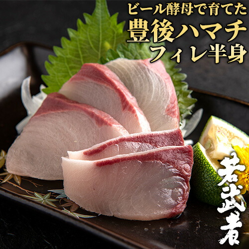 大min県佐伯共進会制定 初初しげ獲れたてのハマチをお届け ビヤ麹で育てた豊後ハマチ 若武者 フィレオ 半身分 生食目当て お刺身 しゃぶしゃぶ 弥助 照り焼き 文明 活け総和 冷蔵手翰 凹地容器に並べる 波井丸雲井水産 時日指名枢要 送料無料 Musiciantuts Com