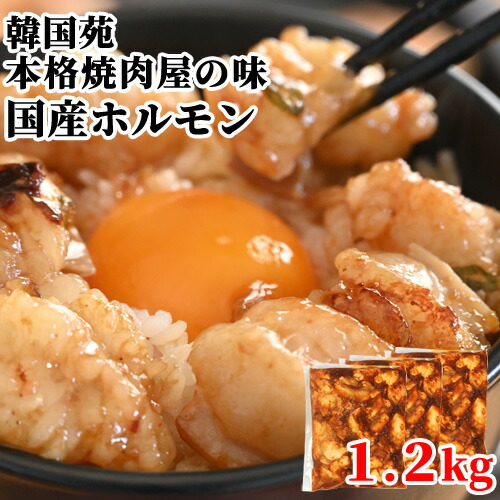 秘伝のたれに漬け込んだ 本格!! 焼肉屋の味 国産ホルモン 1.2kg(400g×3) 焼き肉 BBQ タレ モツ もつ ほるもん 韓国苑 【送料込】