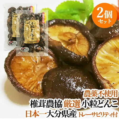 大野原 最後の大径栗を玉切り、薪にする。 | 会津で山仕事
