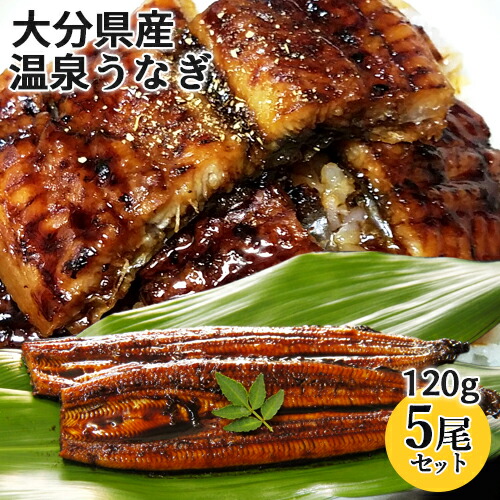 天然温泉で育った鰻 温泉うなぎ蒲焼 120g×5尾セット(特製タレ30ml×2本・山椒5袋) 無投薬 温泉かけ流し 大分県産養殖鰻 電子レンジ加熱 日本ギフト大賞受賞 大分水産【送料込】 KTK|おんせん県おおいた online shop
