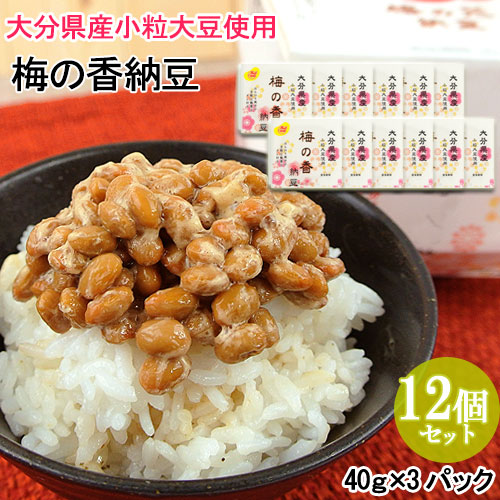楽天市場】国産 梅の花納豆(40g×3) 12個セット 二豊フーズ 梅の