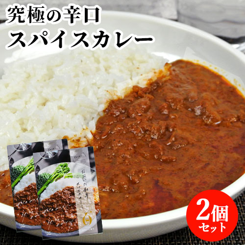 カレー　スパイス　大量　まとめ売り カレースパイス大量まとめ売り