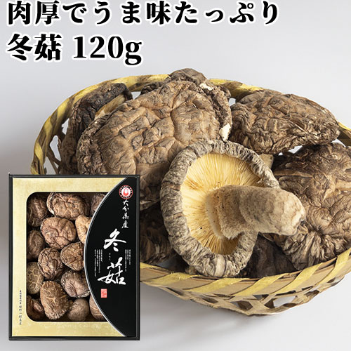 楽天市場】乾椎茸入り オオイタンシイタケマカロン 8枚入り 椎茸