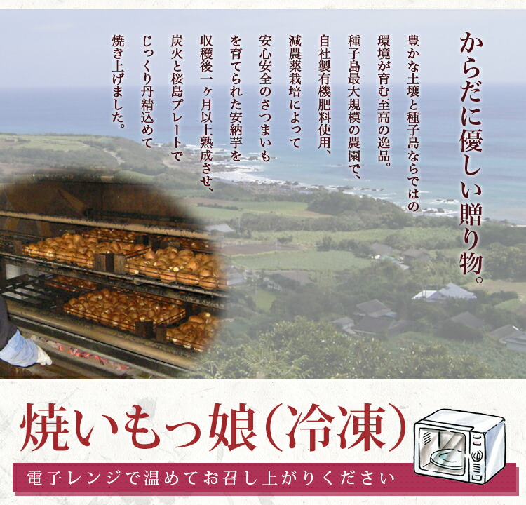 【ギフト】焼いもっ娘 2kg 種子島産安納芋を使用 (プレゼント さつまいも おやつ サツマイモ 安納芋 種子島 焼き芋 冷凍 あんのういも 焼芋 やきいも 焼き芋 鹿児島 お取り寄せグルメ ギフト スイーツ ギフト 鹿児島 安納芋 冷凍焼き芋 電子レンジ 母の日 芋 和菓子) 【ギフト】焼いもっ娘 2kg 種子島産安納芋を使用 (プレゼント さつまいも おやつ サツマイモ 安納芋 種子島 焼き芋 冷凍 あんのういも 焼芋 やきいも 焼き芋 鹿児島 お取り寄せグルメ ギフト スイーツ ギフト 鹿児島 安納芋 冷凍焼き芋 電子レンジ 母の日 芋 和菓子)