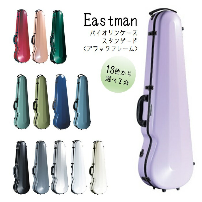 Eastman/イーストマン　バイオリン　ハードケース　standard EASTMAN イーストマン / バイオリン ハードケース