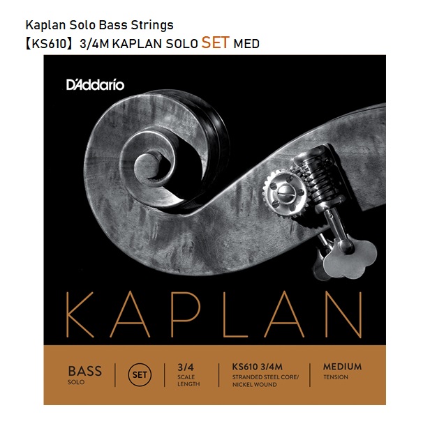 D'Addarioダダリオ 最大49%OFFクーポン コントラバス弦Kaplanカプランソロベース弦 あなたにおすすめの商品 ※レターパックプラス 4本1セット