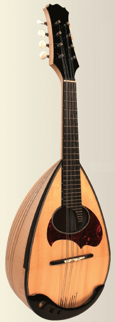 Eastman Mandolin マンドリンmodel Milano 弦楽器 | yealink.in.th