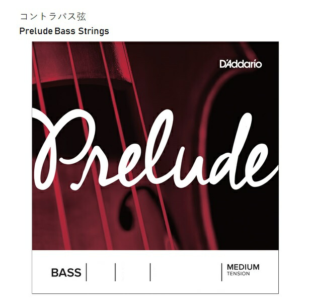 D'Addarioダダリオ/コントラバス弦【J614】 Prelude Bass Strings　バラE線1本　※レターパック　プレリュード