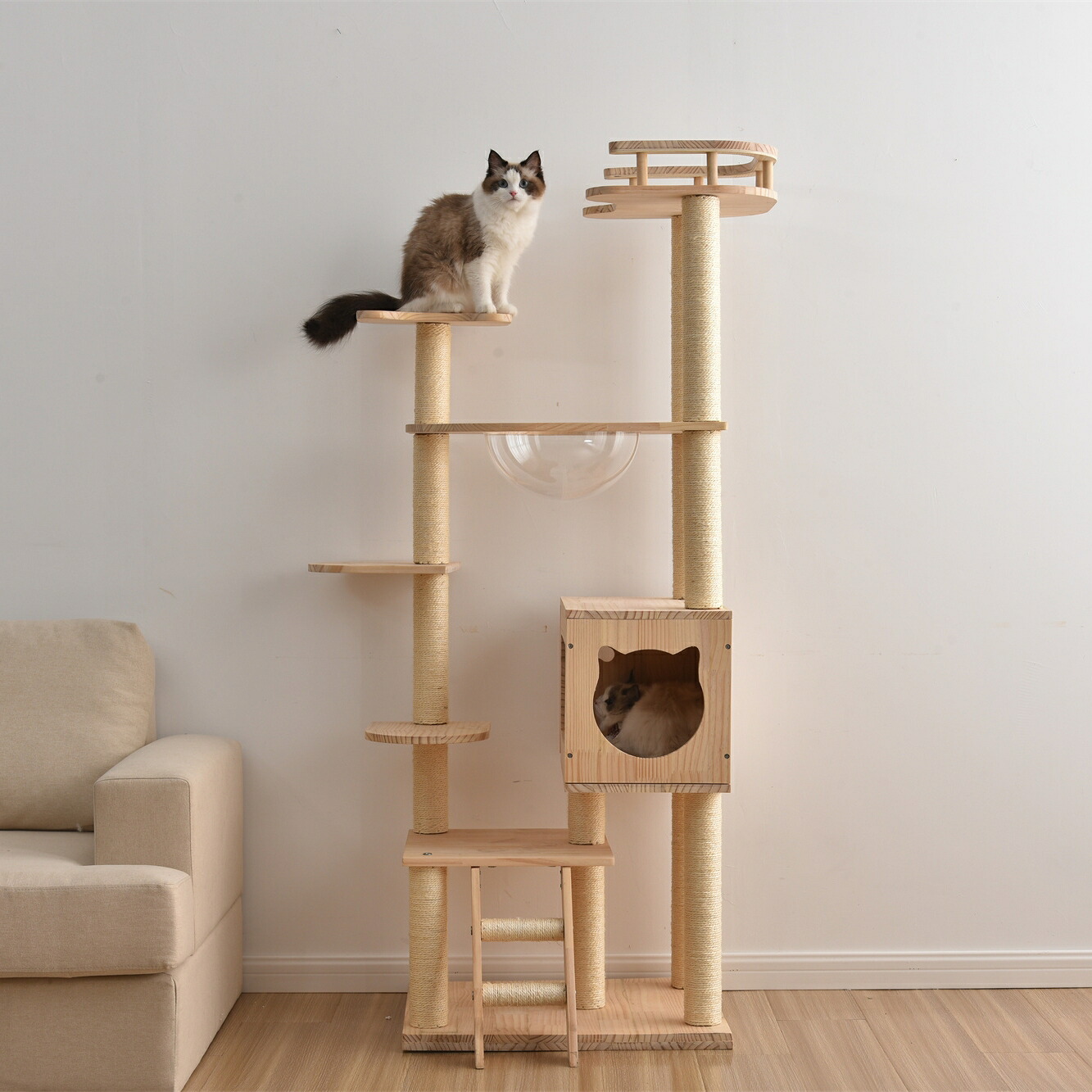 木製キャットタワー Teak 天然木 フレーム ステンレスパネル 階段式ステップ ハウス付き 隠れ家 透明宇宙船デザイン 麻紐爪とぎボール 猫ベッド付き 高耐久 おしゃれ 猫用 多頭飼い対応