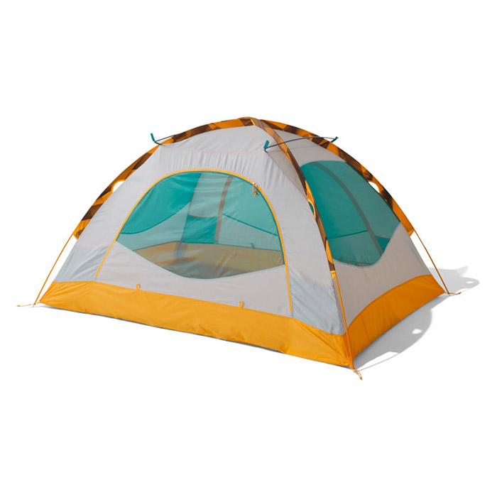 the north face homestead roomy 2