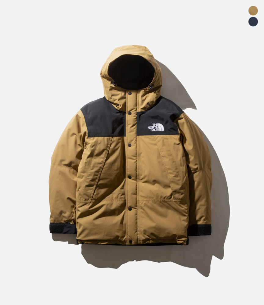 the north face 2019 winter