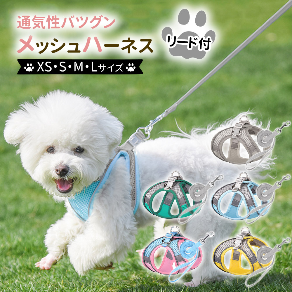 Amazon | 【正規品】Milla Noue ミラヌー レザー 本革 牛革 S M