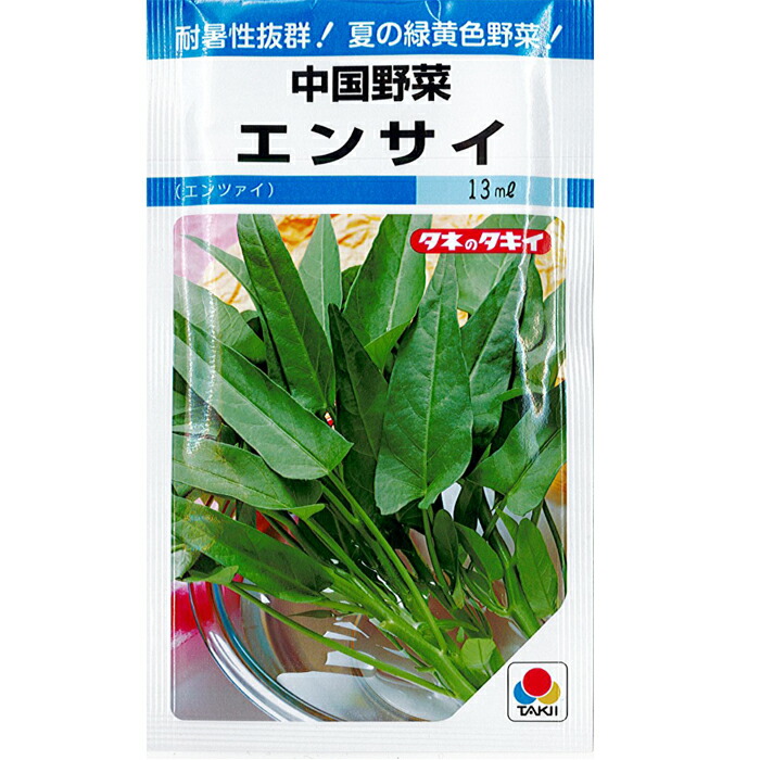 楽天市場】トキタ種苗 グストイタリア カブ 種子 「 サラダ・ラティーナ 」 小袋 200粒 規格 野菜種 イタリア野菜 蕪 ラーパ 種 初心者向け  : 種の家 楽天市場店